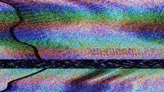 Elizabeth Wonning IFTCC Conference 2025 Interview